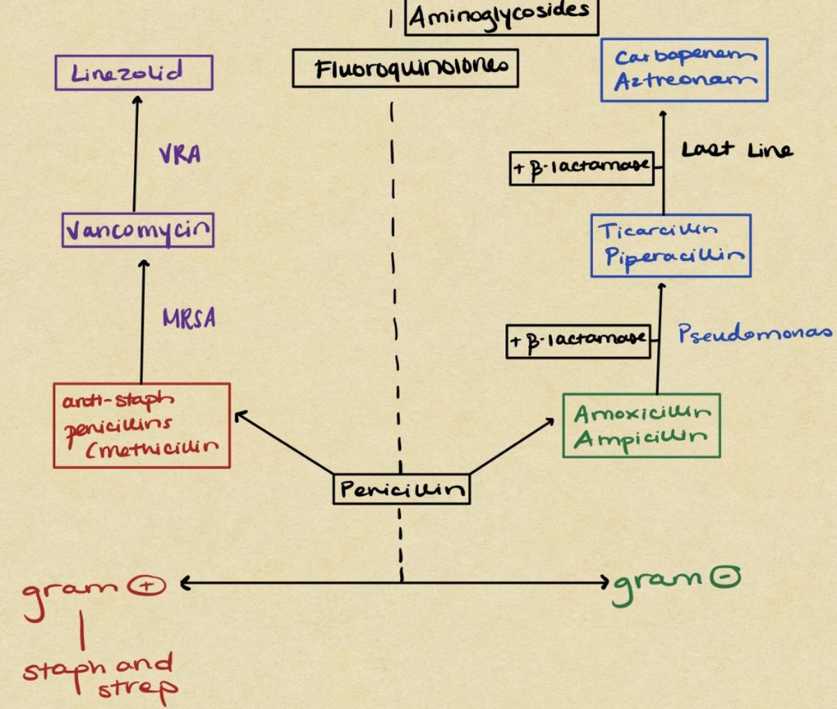 The Antibiotic Ladder